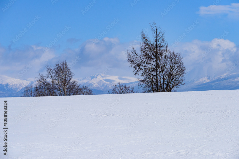 北海道 冬の美瑛の雪景色 北海道 冬の美瑛の雪景色