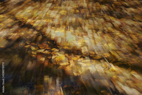 Fall season foliage color background with motion blur over autumn leaves in shadows from trees. photo