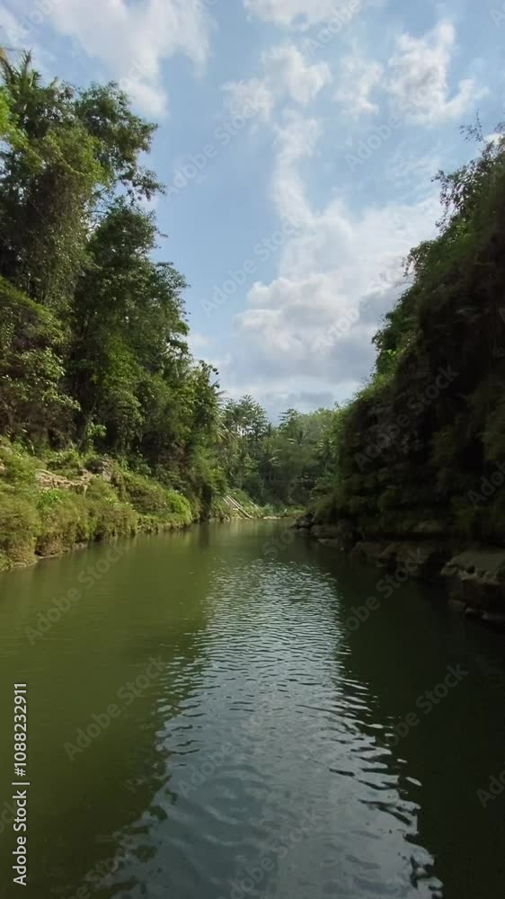 vertical video view of the river in the forest vertical video view of the river in the forest