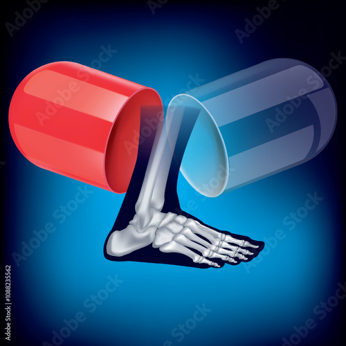 Foot bone structure. Human leg anatomy illustration isolated on blue background.capsule