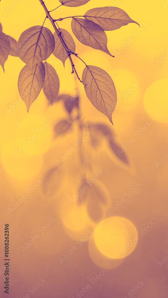 Beautiful Leaf's Form Fall Beautiful Leaf's Form Fall