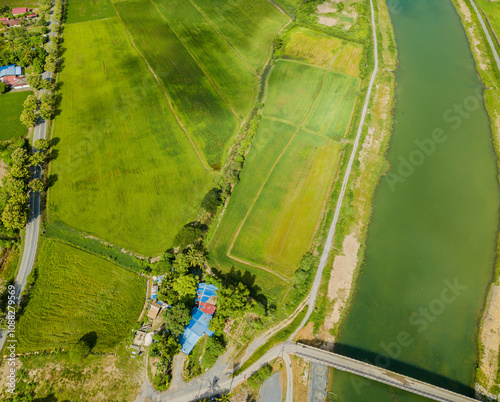 Panoramic aerial drone view of green paddy crops with waterway canal at Kampung Wai, Perlis, Malaysia photo