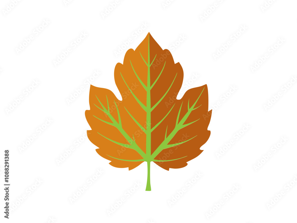 Naklejka premium Vector Silhouette Icon Set of Maple Leaves in Autumn Colors 