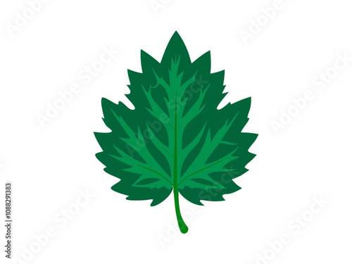 Vector Silhouette Icon Set of Maple Leaves in Autumn Colors 