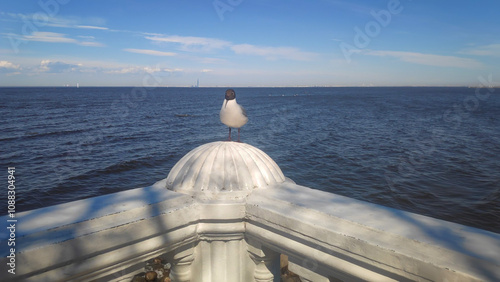 Saint-Petersburg, Russia. Seagull on Railing, Flying Away. Peterhof, Petrodvortsovy District. Lower Park - Museum-Reserve photo