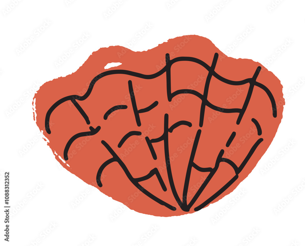Textured scallop shell vector illustration Textured scallop shell vector illustration