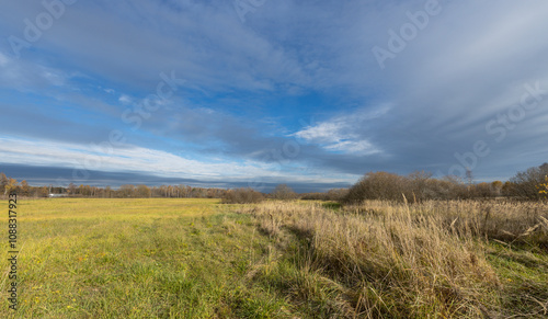 A field of grass with a cloudy sky in the background