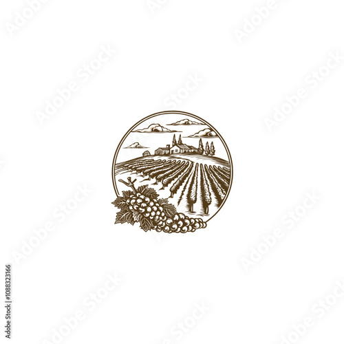 Vineyard engraving vintage logo design template vector illustration