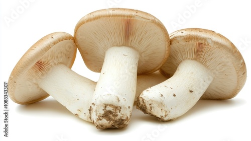 Fresh King Oyster mushrooms with a smooth, creamy white stem and a light brown cap, arranged artistically on a clean white background.