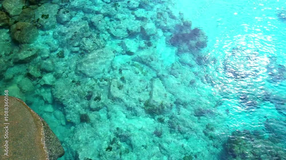 Top view of the dark green forest and the sea. Natural ecosystems of forests and oceans. concept of natural forest conservation
Top view of the dark green forest and the sea. Natural ecosystems of forests and oceans. concept of natural forest conservation