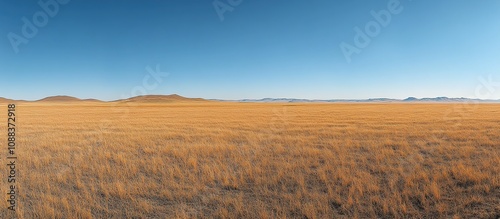 Expansive golden grassland under a clear blue sky with distant mountains.