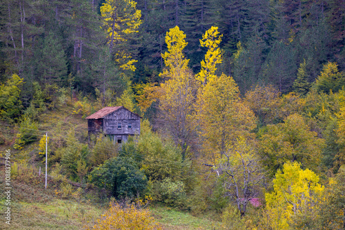 Kastamonu Province, old wooden houses and trees in autumn colors