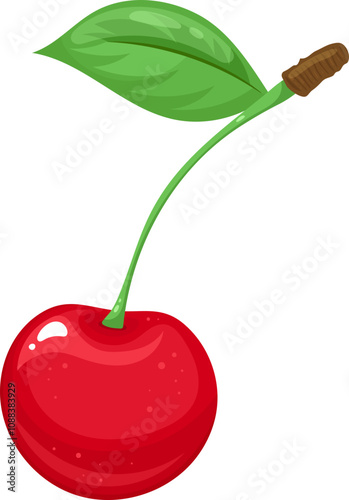 Beautiful illustration of a red cherry