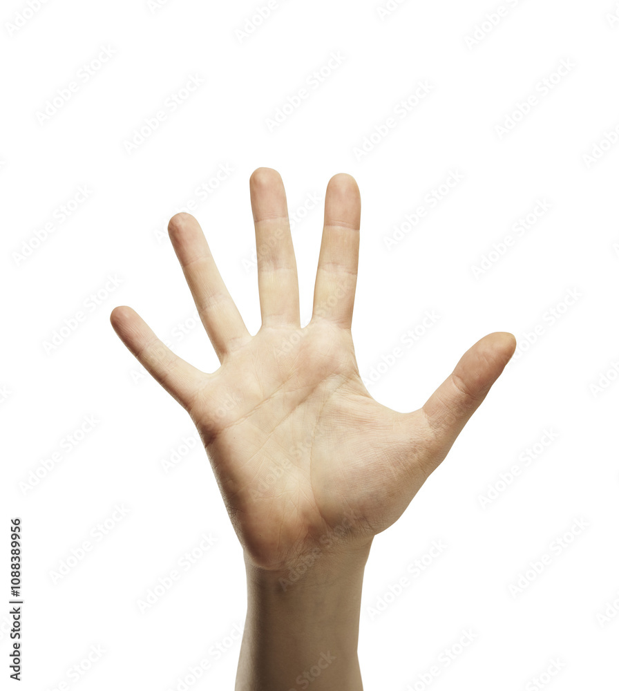 A human hand with fingers spread open, raised and isolated on a clean white background. The image represents a concept of communication or gesture A human hand with fingers spread open, raised and isolated on a clean white background. The image represents a concept of communication or gesture