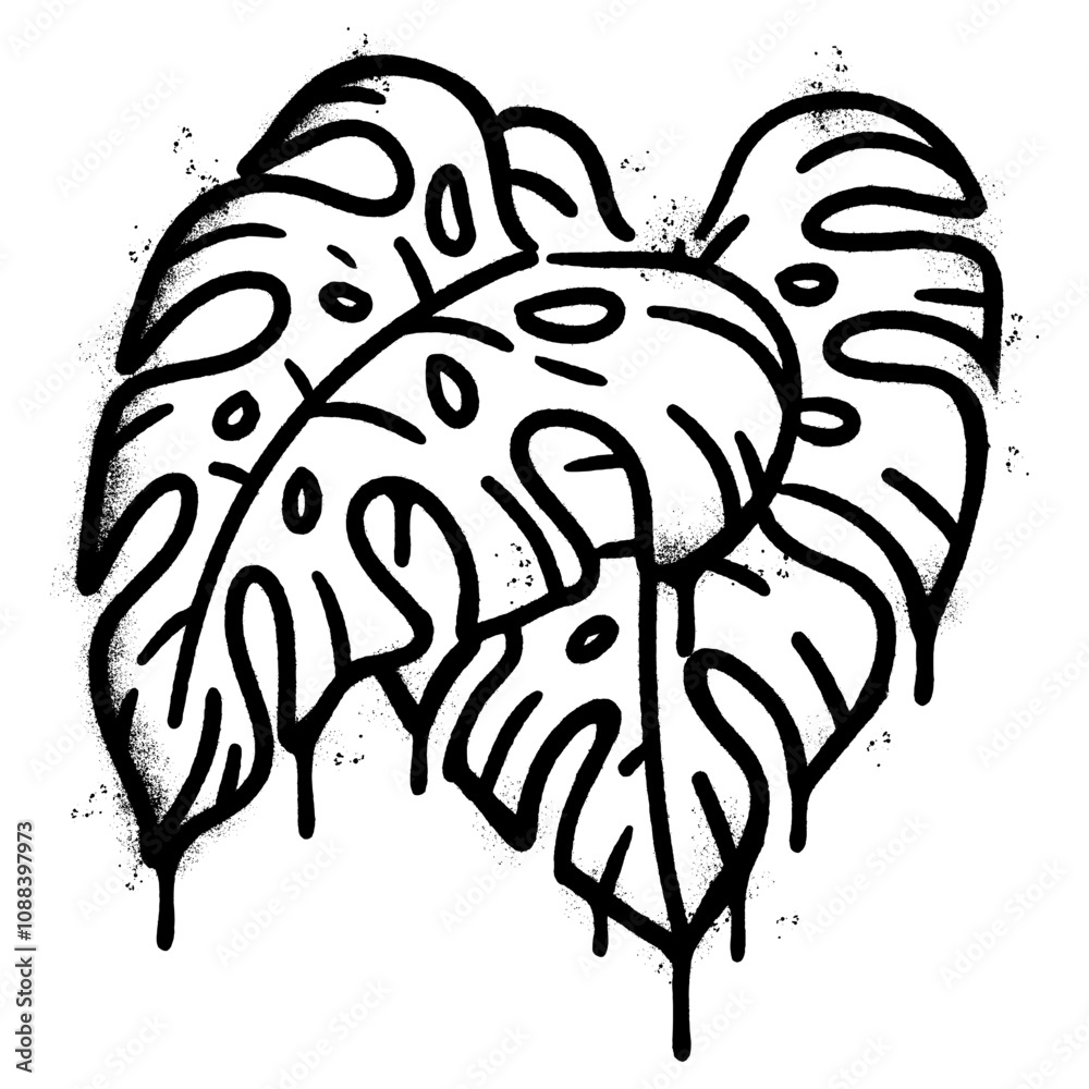 Fototapeta premium Spray Painted Graffiti monstera leaf isolated on white background.