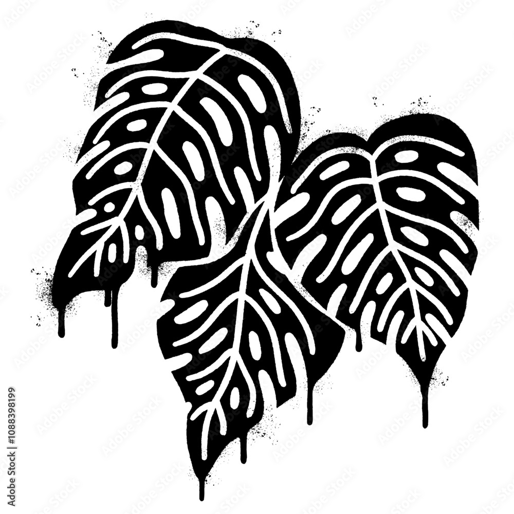Fototapeta premium Spray Painted Graffiti monstera leaf isolated on white background.