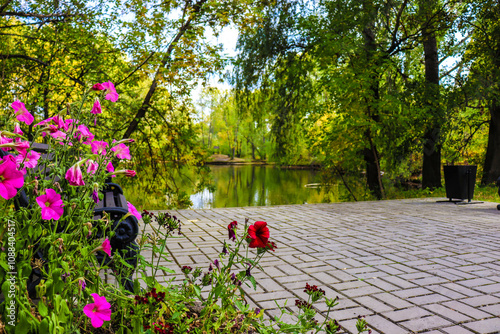 beautiful lake