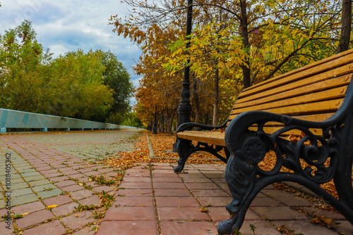 autumn leaves in the park