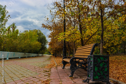 autumn leaves in the park