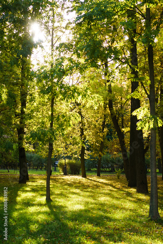 Park with trees and a bench