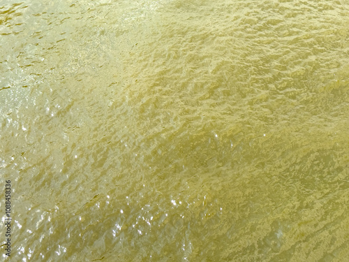 Obraz na plátně The water is murky and has a greenish tint
