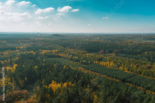 Colorful autumn forest showing stunning fall foliage from above