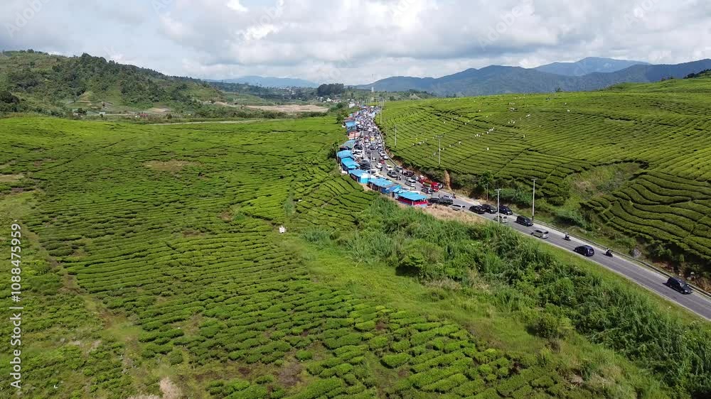Perkebunan Teh alahan panjang, suasana di ambil saat lebaran idul fitri 2023