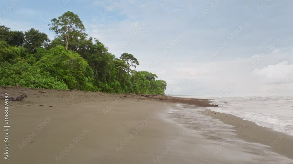 Discover the enchanting and misty forests of Corcovado National Park in Costa Rica, where an abundance of rich biodiversity flourishes in serene and tranquil landscapes Discover the enchanting and misty forests of Corcovado National Park in Costa Rica, where an abundance of rich biodiversity flourishes in serene and tranquil landscapes