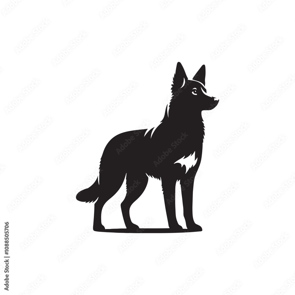 Australian Kelpie Silhouette - Australian Kelpie Vector - Illustration of Australian Kelpie. Australian Kelpie Silhouette - Australian Kelpie Vector - Illustration of Australian Kelpie.