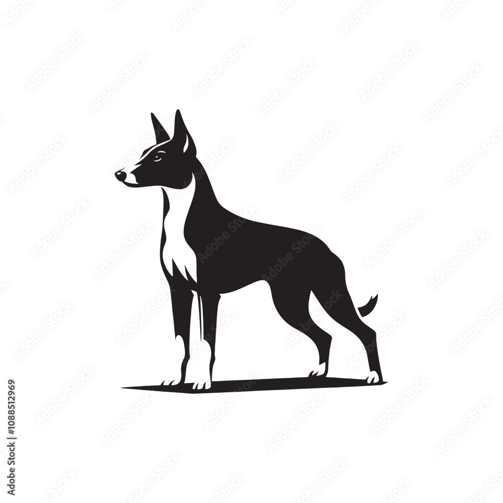 Basenji Silhouette - Minimal Basenji Dog Vector - Dog Illustration. Basenji Silhouette - Minimal Basenji Dog Vector - Dog Illustration.