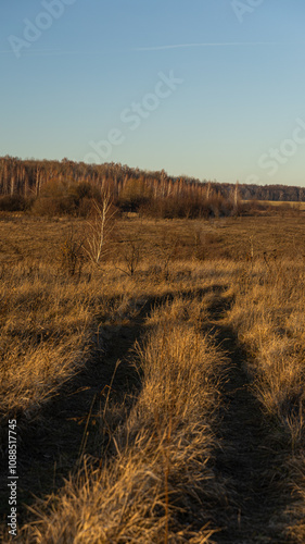 A vast field of dry grass scattered with trees in the background