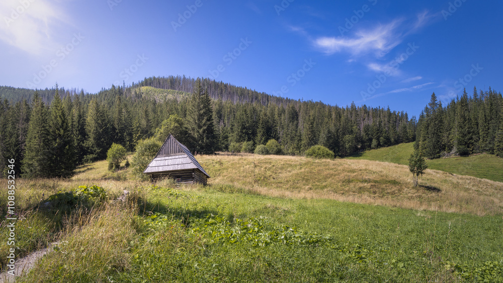 Rustic Cabin in Scenic Tatra National Park, Poland Landscape Rustic Cabin in Scenic Tatra National Park, Poland Landscape