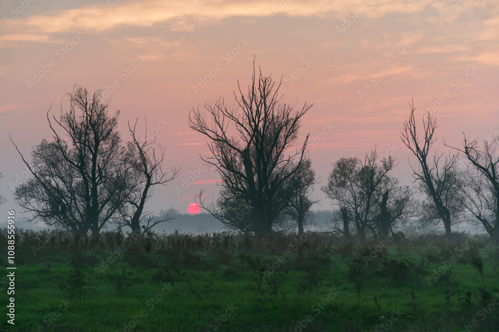 GPS INSIDE Sunset trees feeling particular characteristic nature naturalistic landscape