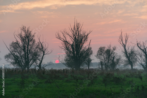 GPS INSIDE Sunset trees feeling particular characteristic nature naturalistic landscape photo