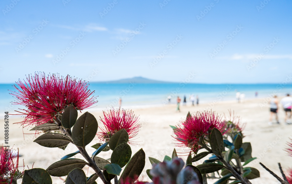 Red Pohutukawa flowers framing Rangitoto Island. Unrecognizable people walking on Takapuna Beach. Auckland.