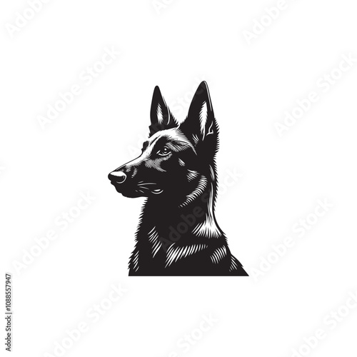 Silhouette Of Belgian Malinois - Minimalist Belgian Malinois Vector - Dog Illustration.