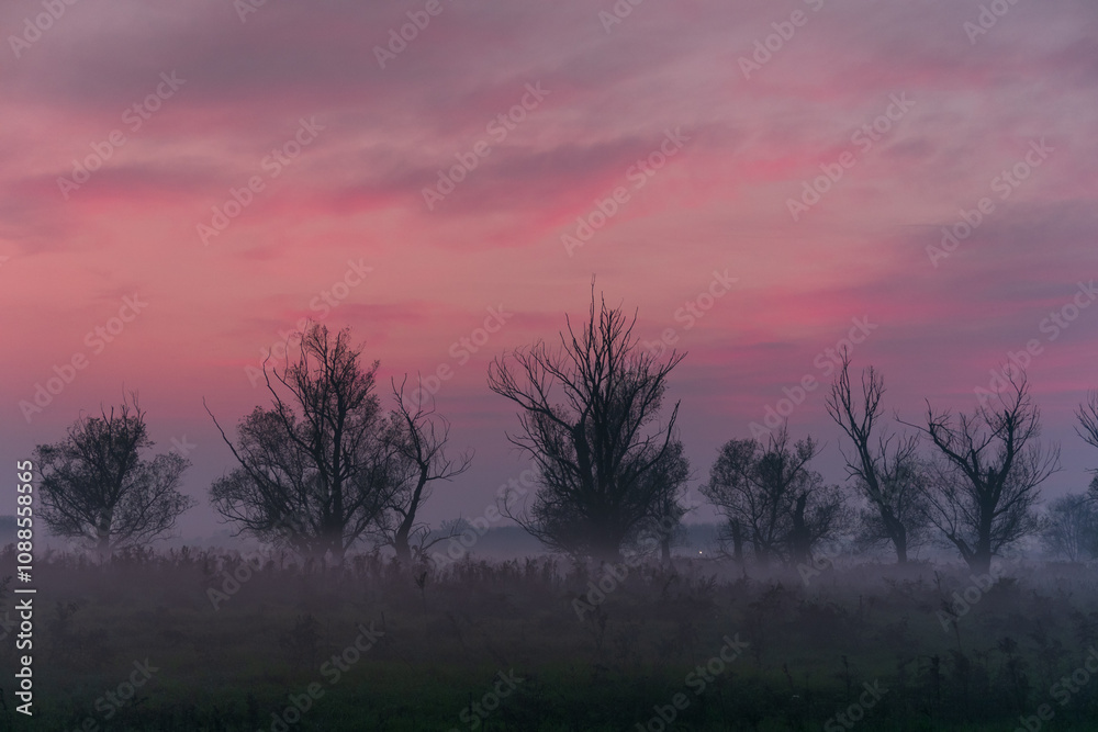 GPS INSIDE Sunset trees feeling particular characteristic nature naturalistic landscape