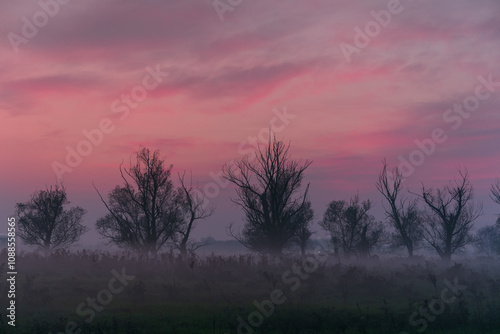 Obraz na płótnie GPS INSIDE Sunset trees feeling particular characteristic nature naturalistic landscape w salonie