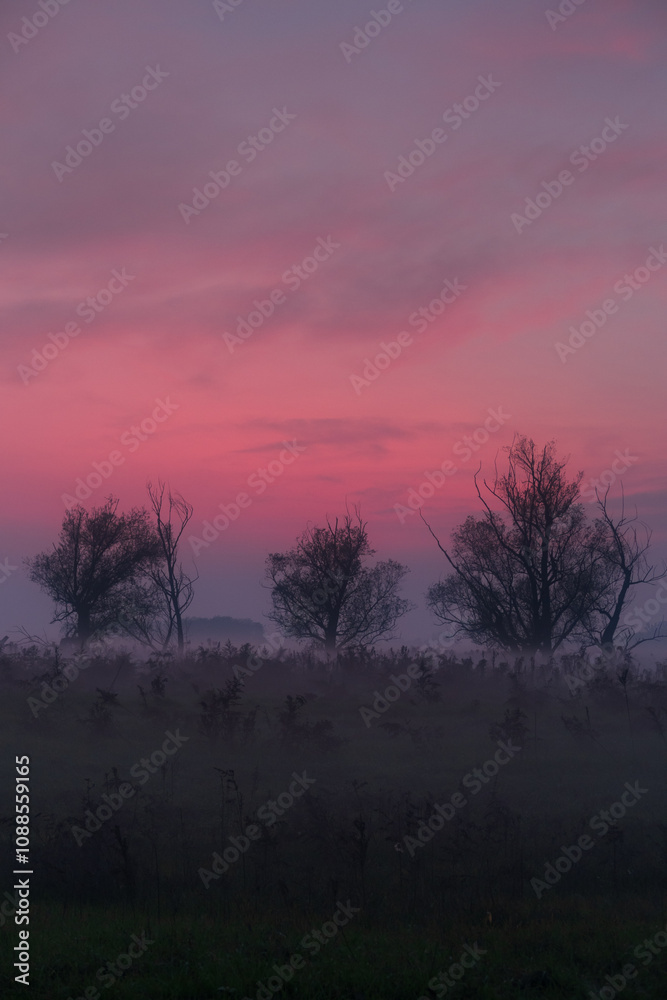 GPS INSIDE Sunset trees feeling particular characteristic nature naturalistic landscape