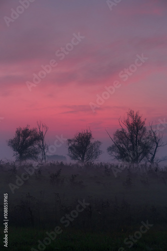 Obraz na płótnie GPS INSIDE Sunset trees feeling particular characteristic nature naturalistic landscape w salonie