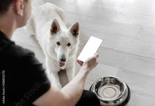 Hand with white screen phone near a hungry dog with an empty bowl. The concept of online ordering food for pets. Food delivery for domestic animals. Pet shop. Animal feed photo