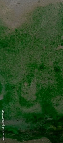 Wallpaper Mural Thin green moss on white wall Torontodigital.ca