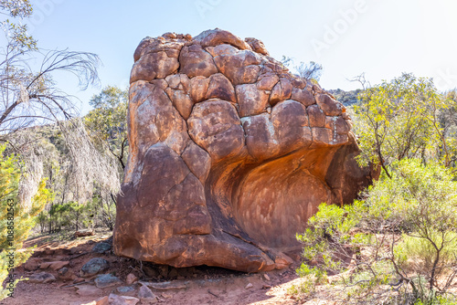 A massive sandstone boulder carved and weathered by the wind and rain over time in rocky country with mulga trees in Wilpena Pound National Park in the Flinders Ranges in South Australia. photo