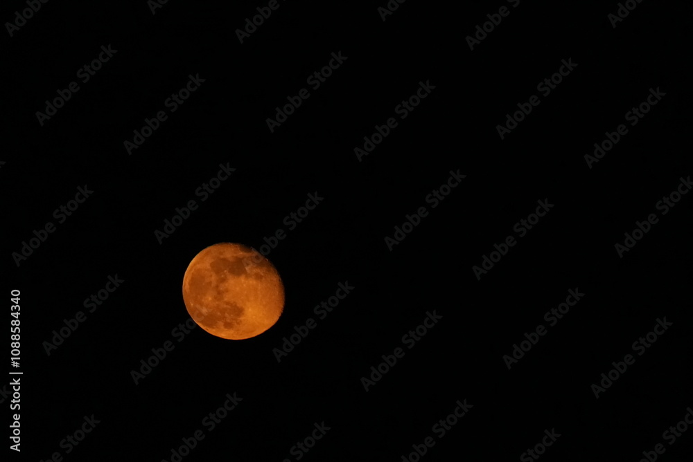 Obraz premium full moon in the night sky, beaver moon in Los Angeles