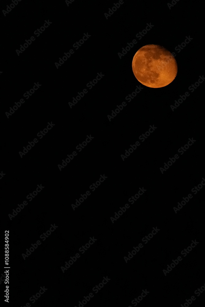 Obraz premium full moon in the night sky, beaver moon in Los Angeles