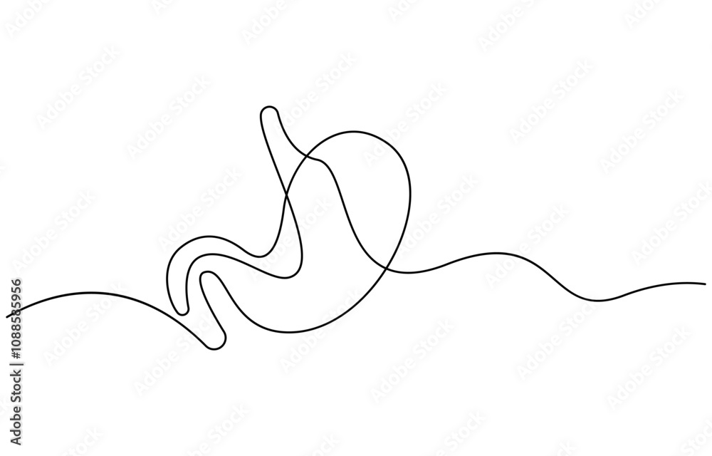 Continuous one line drawing of Stomach organ Human Gastrointestinal Continuous one line drawing of Stomach organ Human Gastrointestinal