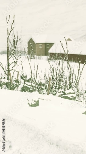 small wooden houses in Norway photo