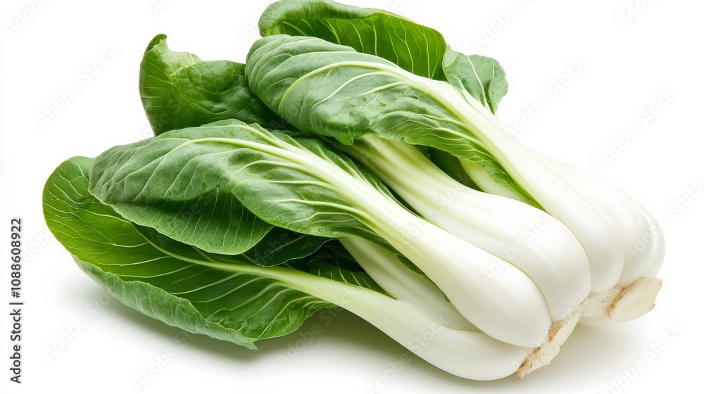 A whole head of bok choy with its crisp, green leaves and white stalks, Each bok choy’s vibrant color and subtle imperfections captured with precision A whole head of bok choy with its crisp, green leaves and white stalks, Each bok choy’s vibrant color and subtle imperfections captured with precision