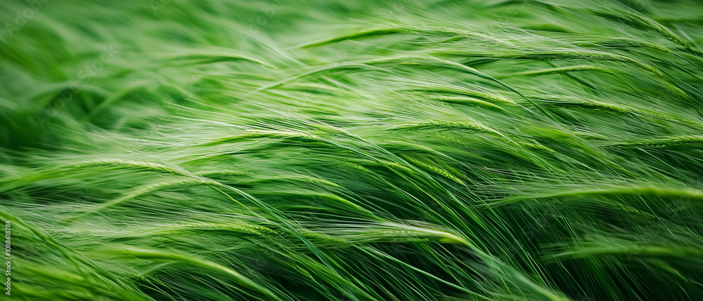 Tall green grass sways gracefully in wind, creating serene and dynamic landscape. movement of grass captures essence of nature gentle power and tranquility Tall green grass sways gracefully in wind, creating serene and dynamic landscape. movement of grass captures essence of nature gentle power and tranquility