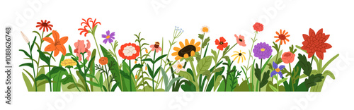 Floral border with field flowers. Botanical design, horizontal decoration. Blossoms, leaves, summer nature. Meadow wildflowers mix, decor. Flat vector illustration isolated on white background
